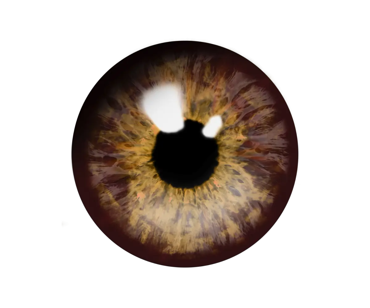 Service/Feature Image