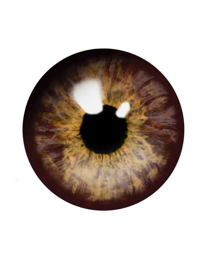 Service/Feature Image